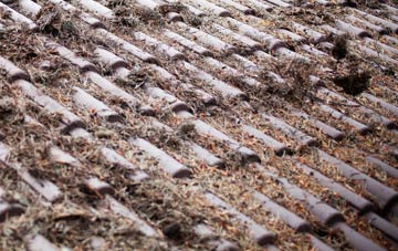 Drumsmittal roof cleaning companies